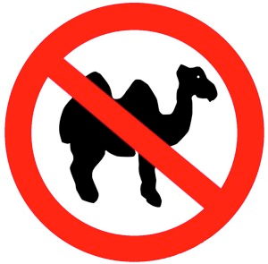 CAMEL