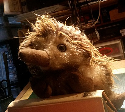 This is Spike, the Christmas Echidna. Still lacking a voice and a gender. Must mount a rescue soon.